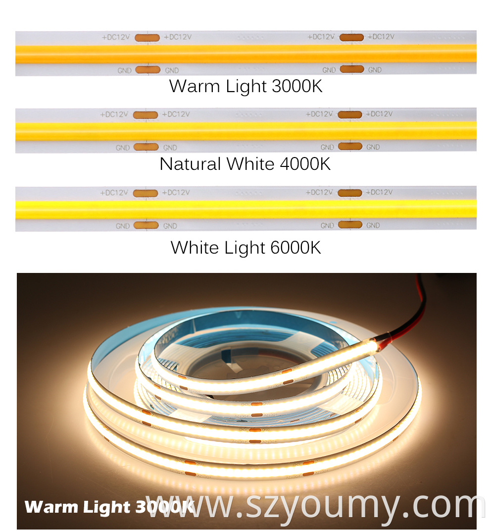 Cob Led Strip 12v